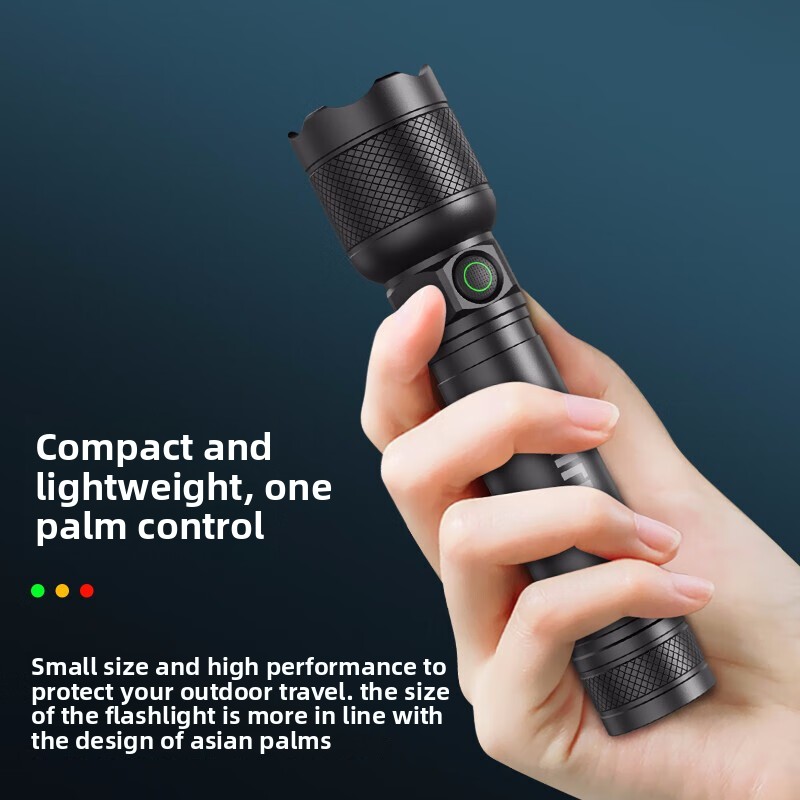2025 신형 필립스 SFL2188 LED 알루미늄 합 - Outdoor Lighting House 리뷰 및 가격