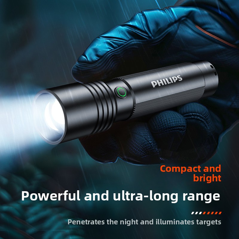 가정 및 야외용 필립스 SFL2146 손전등 무단계 밝 - Outdoor Lighting Philips 리뷰 및 가격